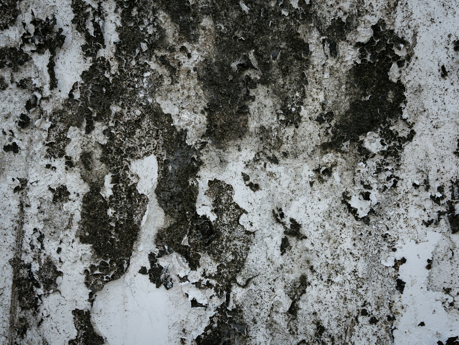 Nahaufnahme einer feuchten Wand mit Schimmel und abblätternder Farbe